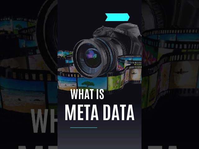 About Meta Data 📊💯 #shorts #metadata #101