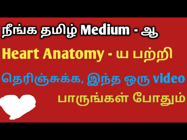 Heart anatomy and physiology in Tamil / Human biology