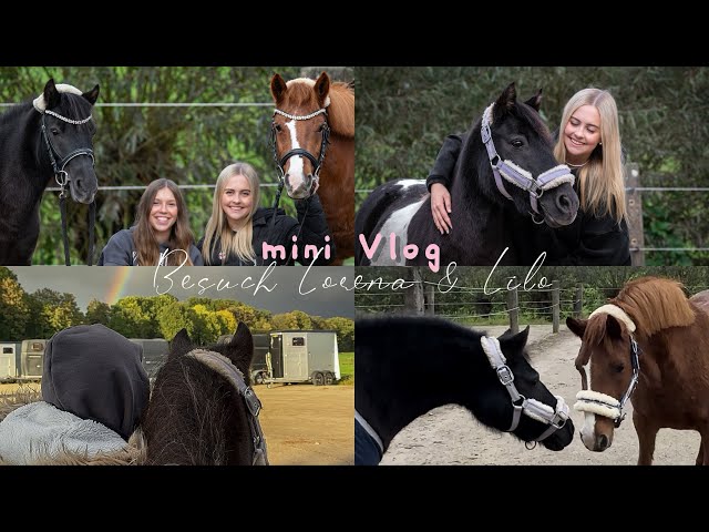 mini vlog: Besuch von Lorena & Lilo 🩷