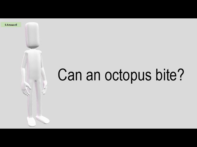 Can An Octopus Bite?