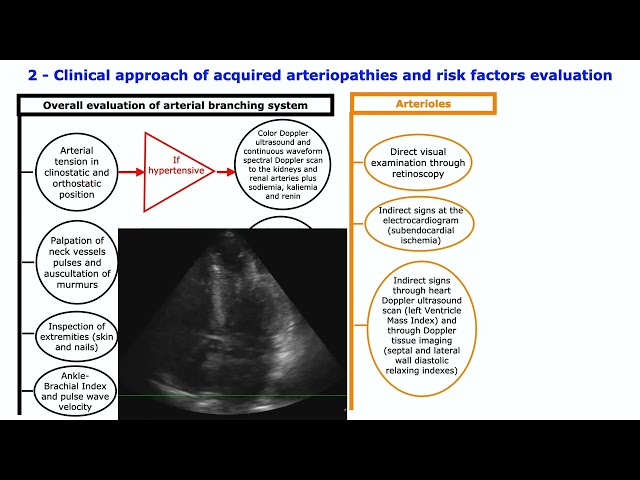 ACQUIRED DEGENERATIVE ARTERIOPATHIES AND RISK FACTORS. Series: Multimedia Clinical Cases n. 3/2023