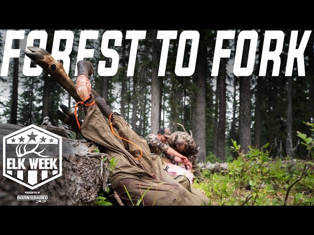 How to Butcher an Elk (From Field to Table) | Elk Week 2023