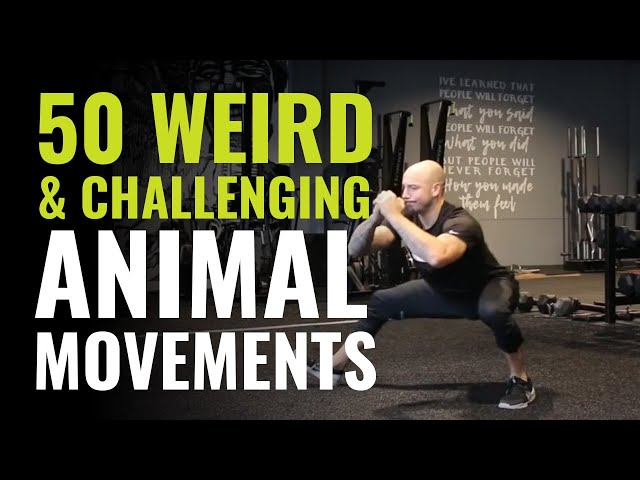 50 Weird and Challenging Animal Movements (Exercises) To Apply To Your Training