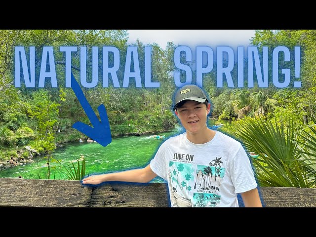 TONS Of Fish At Blue Spring State Park In Florida! // JT Vlogs 003