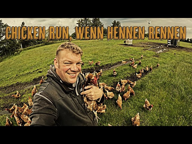 Farm-Vlog #24 Chicken Run - Wenn Hennen rennen, rennen wir mit...