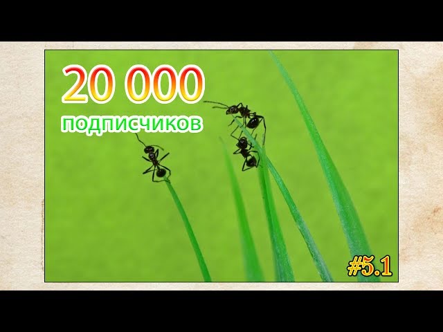 Забрал муравьев ● 20000 подписчиков