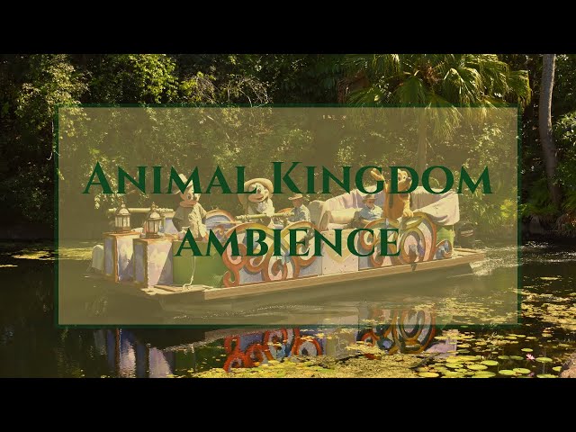 wdw animal kingdom ambience