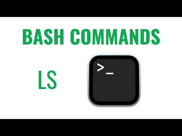 Bash Commands - ls command
