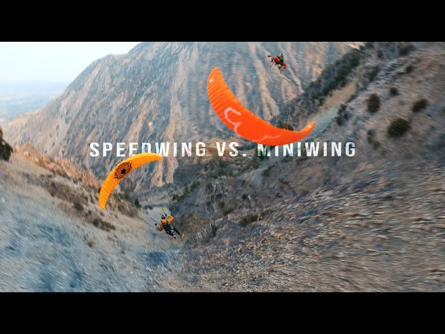 Speedwing VS Miniwing Flight