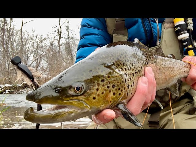 MOUSING | Swinging a Mouse for Great Lakes Brown Trout.