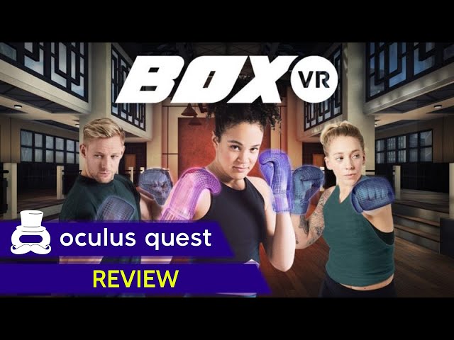 BoxVR Review | Oculus Quest