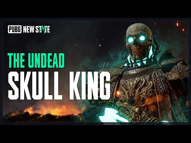 Skull King | PUBG: NEW STATE