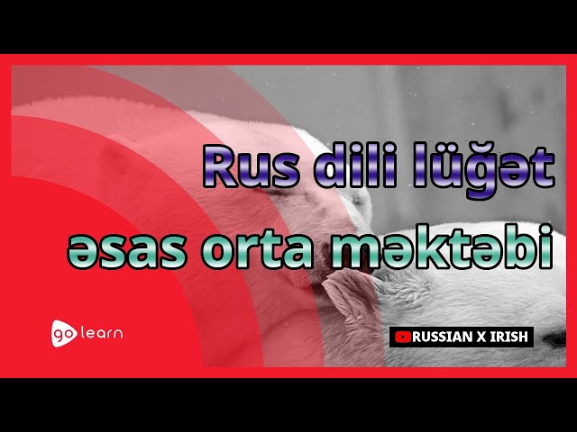 Rus dili lüğət əsas orta məktəbi | Golearn