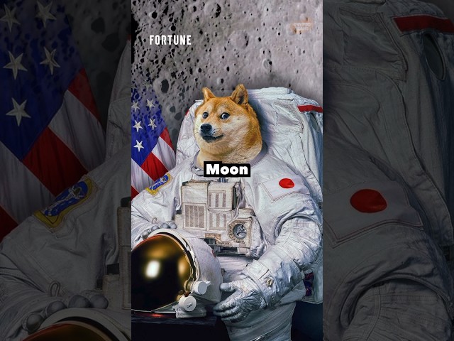 Sending A Literal Dogecoin To The Moon 🚀🌕