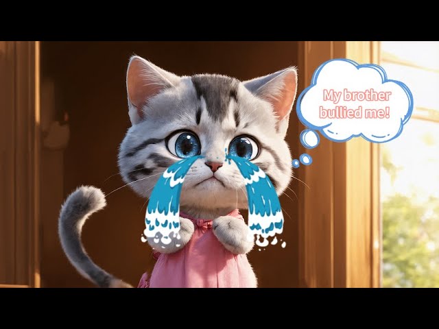 Cat story:The retribution for bullying your sister | funny story