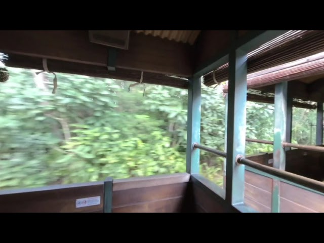 VR180 - Walt Disney World - Animal Kingdom - Wildlife Express Train - November 24th 2020 (3/3)