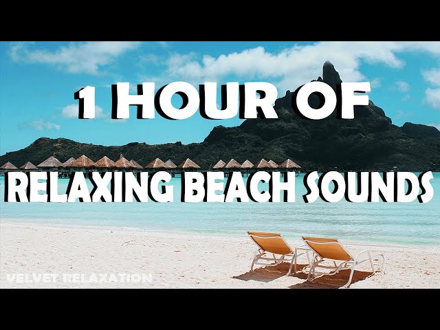 RELAX with 1 HOUR of Relaxing Beach Sounds