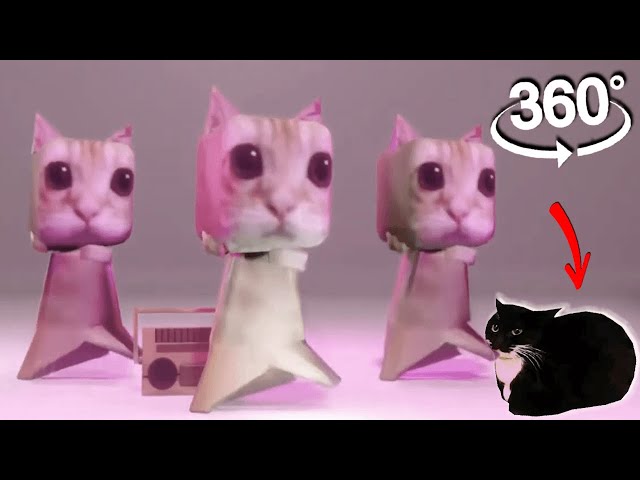 360° VR El Gato  & Maxwell Cat - Get Up