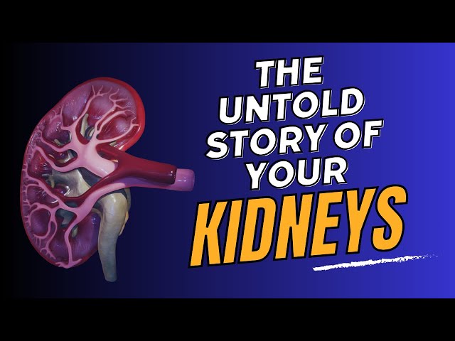 Urine the Clear: A Journey Through Your Kidneys!