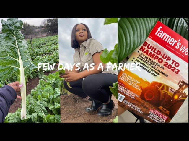 A FEW DAYS AS A FARMER | ATTENDED NAMPO 2023 | LETS SPEND A DAY AT THE FARM | SOUTH AFRICAN YOUTUBER