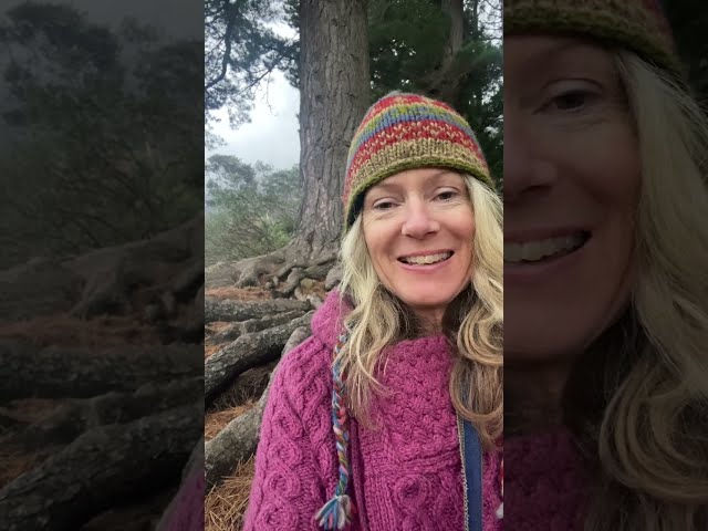 Trauma and the roots of a tree - EFT Therapy with Alison