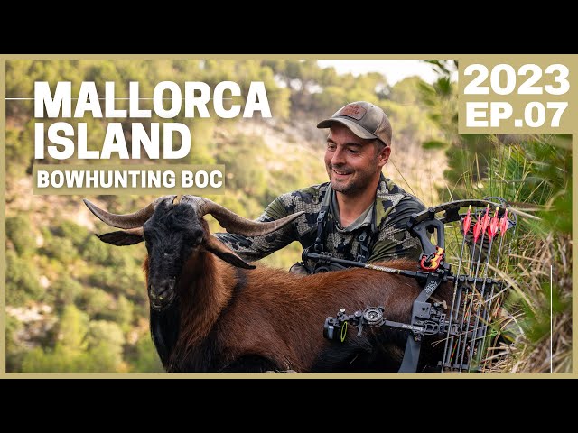 Bowhunting Mallorca ISLAND for the exclusive Balearean BOC
