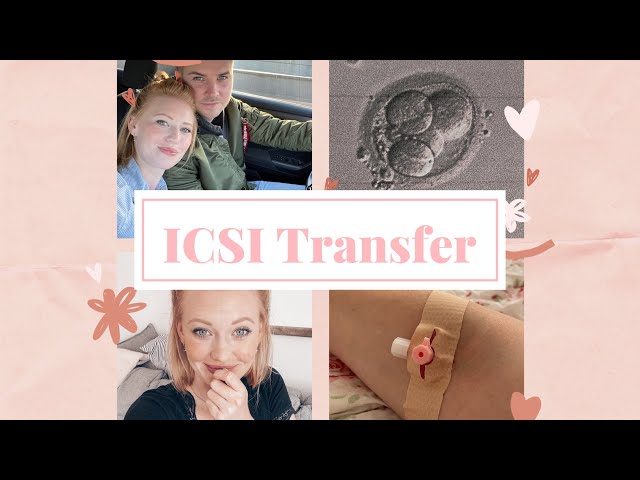 Unerfüllter Kinderwunsch - unser Weg💕 | die erste ICSI - der erste Transfer | VLOG