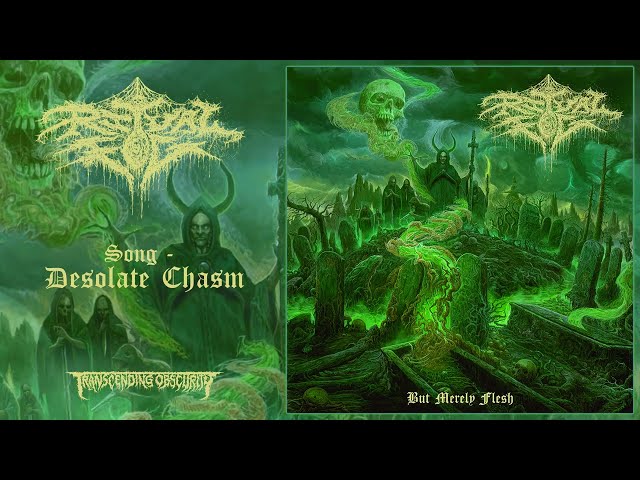 RITUAL FOG (US) - Desolate Chasm (Death Metal) Transcending Obscurity Records