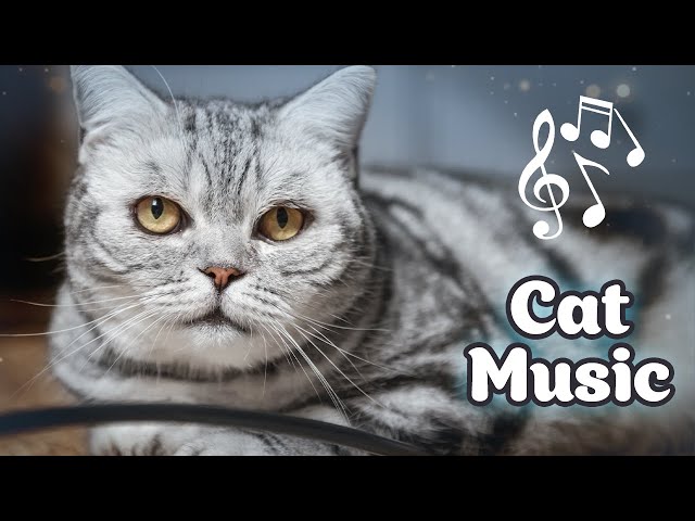 Soothing Music for Restless Cats & Kittens ♬ Cat Music for Stress-Free Days