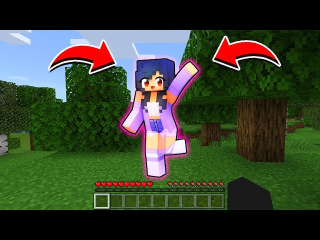 HOW TO PLAY MINECRAFT WITH APHMAU