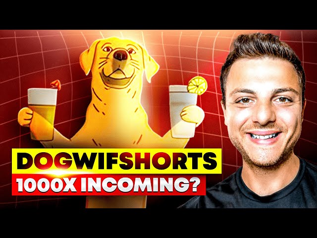 FUR-GET THE HYPE! 🔥 DogWifShorts 🔥 THE NEXT BIG THING!