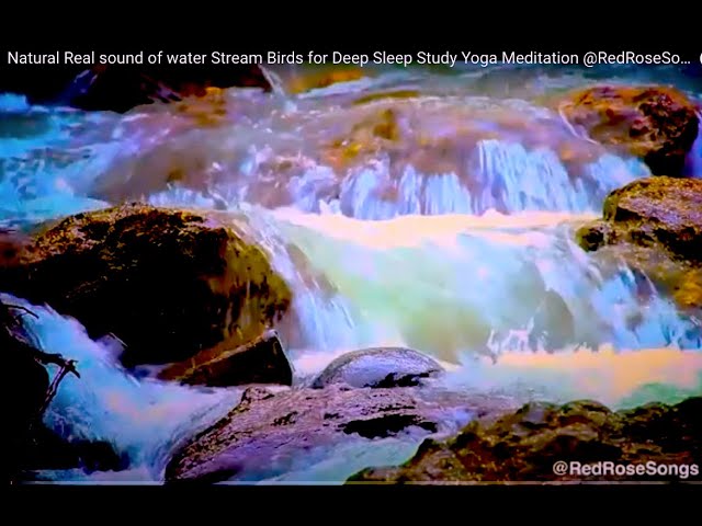 Natural Real sound of water Stream 2 Piano Birds for Deep Sleep Study Yoga Meditation @RedRoseSongs