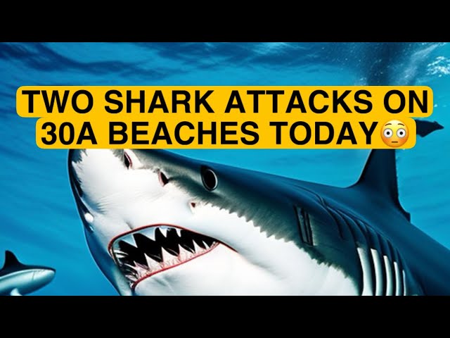 TWO SHARK ATTACKS ON 30A BEACHES IN FLORIDA 6/7/24