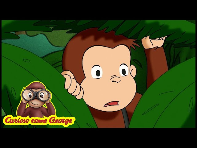 Curioso come George 🐵 La Settimana della Natura 🐵 Cartoni Animati per Bambini 🐵  Episodio Completo