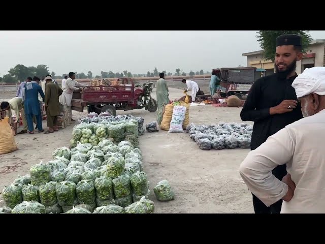Anjum Saroya Visits Fruit and  Vegetable Market Rehmay Shah | Sabzi Mandi Chak 452 GB