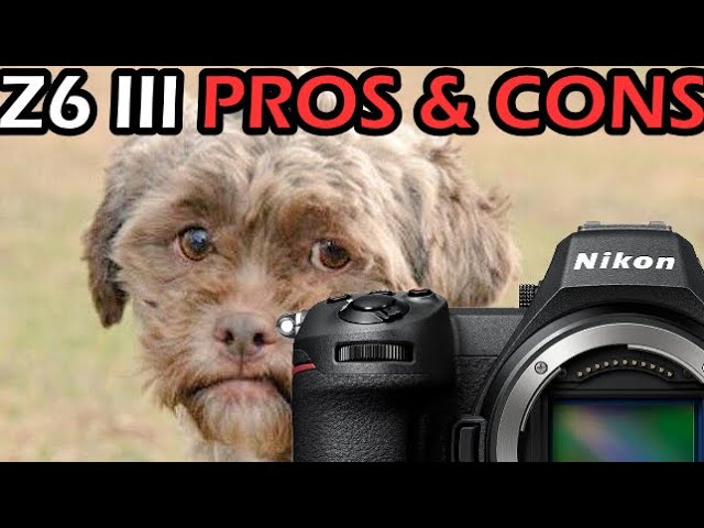 Nikon Z6 III Why I MIGHT Buy It (Pros & Cons)