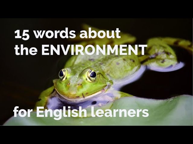 15 Words About - Environment + Free Downloadable Exercise Worksheet (for ESL Teachers & Learners)