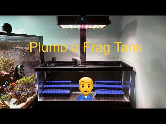 Plumbing in a Frag Tank to an Existing Reef Tank