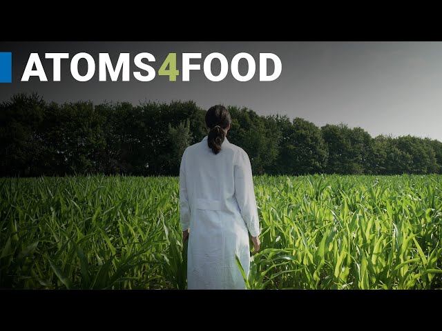 Atoms4Food: se anuncia una nueva iniciativa OIEA-FAO