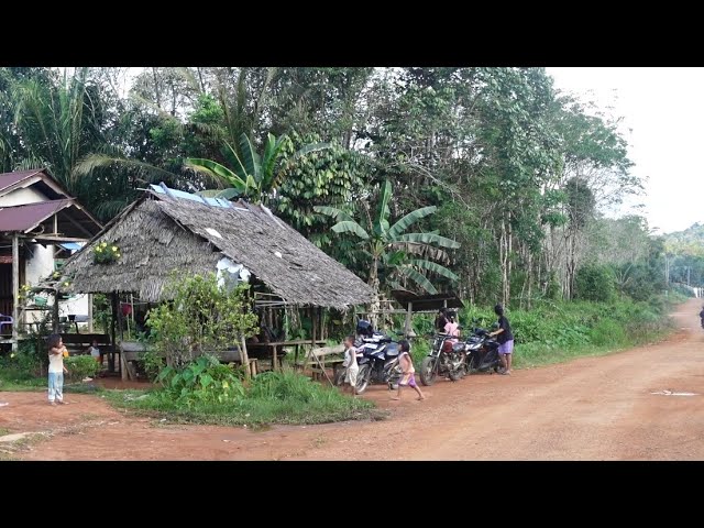 Jalan masih tanah, Suasana tenang dan damai di kampung Dayak desa