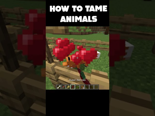 HOW TO TAME ANIMALS IN MINECRAFT