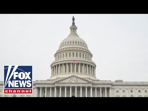 Democrats 'created' the debt limit problem: Marsha Blackburn | Fox News Rundown