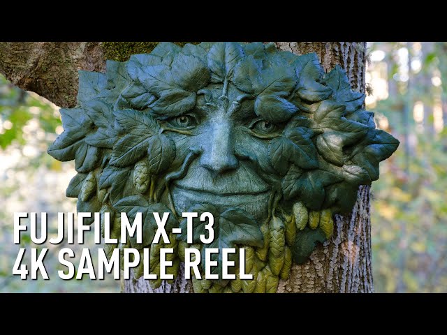 Sculpting 'Green Man' with the Fujifilm X-T3