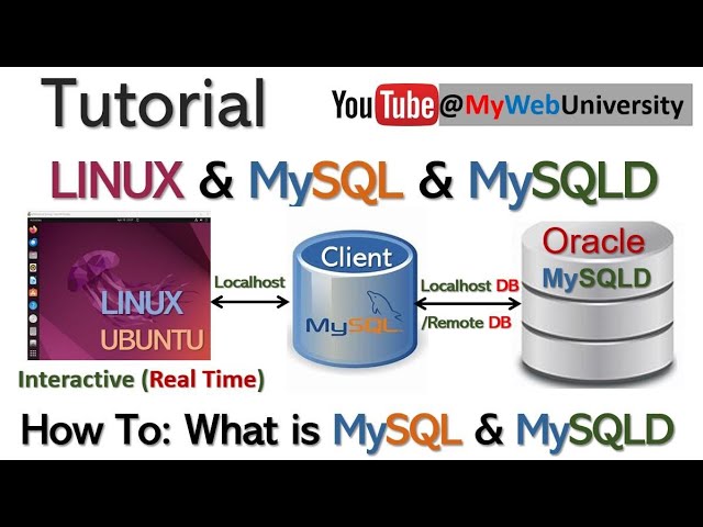 Tutorial (How To: What is MySQL & MySQLD on Linux Ubuntu)