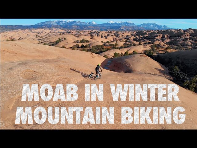 Mountain Biking Moab, Utah in Winter with Gregor the Adventure Dog