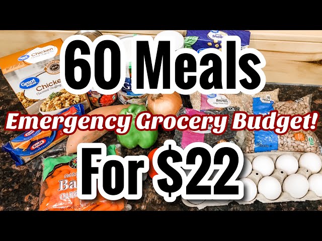 60 MEALS FOR $22 | EMERGENCY GROCERY BUDGET MEAL PLAN IDEAS | JULIA PACHECO