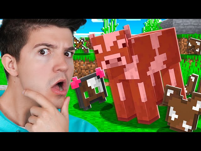 Minecraft But Mobs Drop Their Armor!