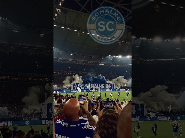 FC Schalke 04 Choreografie gegen Magdeburg 🔥