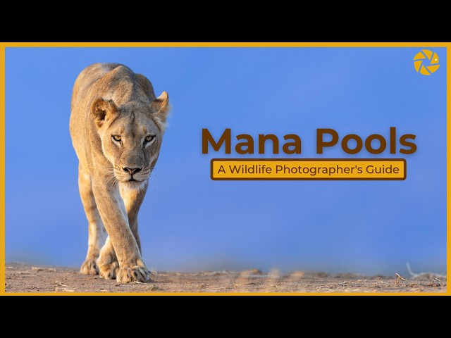 Mana Pools - A Wildlife Photographer's Guide.