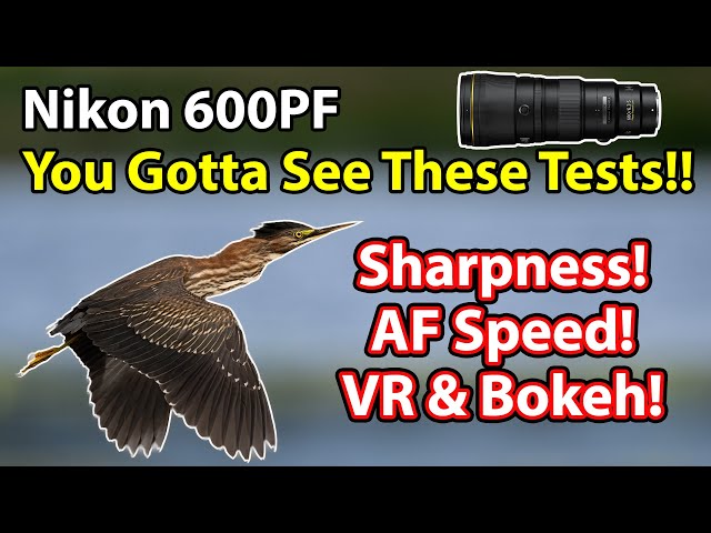 Nikon 600 PF Tests & Comparisons: Sharpness! AF Speed! Bokeh! VR! Focus Breathing! And More!